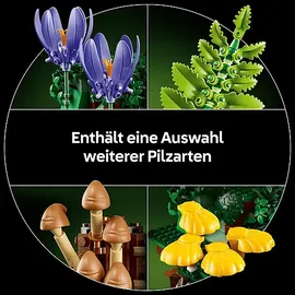 LEGO Botanicals Waldpilze 11505