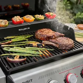 Weber Spirit S-435 silber 1502105