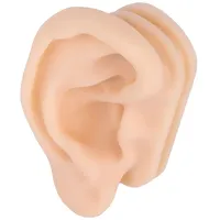 Weiches Silikon-Ohrmodell, Simulation Ohrakupunktur-Übungsmodell, Piercing- Und Akupunktur-Studienpraxis