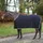Bucas Emerald Wool Rug Abschwitzdecke 135 cm Navy/Grün