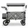 FUXTEC Fuxlife Luxus Bollerwagen FC-CTL900 Grau