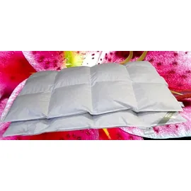 Betten Hofmann Canada Kassetten Daunenbett 4x6 155x220 1200 g Daunendecke 100% neue Daunen - Weiß