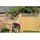 Tetzner & Jentzsch Sichtschutzelement Classic 90 x 180 cm Holz