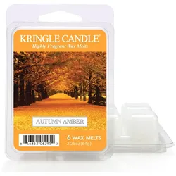 Autumn Amber Wax Melts 64g