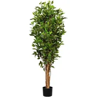 Creativ green Kunstbaum Ficus Benjamini Ficus Benjamini, Creativ green,