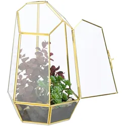 Relaxdays Pflanzenterrarium, Glas & Kupfer, HBT: 26x18x15 cm, Glaskasten Kakteen & Moos, geometrisch, Fensterbank, gold