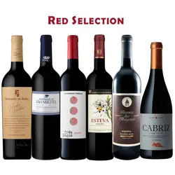 Rote Auswahl – Sommer 2023