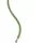 Petzl Kletterseil Grün/Weiß 40 m