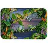 A.Monamour rutschfest Saugfähig Waschbar Badematte Tropische Blätter Blüht Grünen Frosch Auf Astschmetterling Weich Flanell Badezimmerteppich Badteppich Badvorleger Badewanne Dusche Duschvorleger