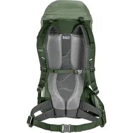 Bach Equipment Daydream 35 sage green/kombu green Rucksack Grün