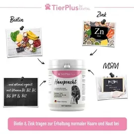 Exvital Haarpracht Tabletten hochdosiertes Biotin Komplex für Hunde 180 g