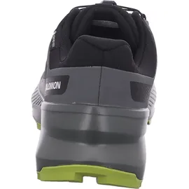 Salomon Speedcross Peak Gore-Tex 477905 schwarz 45 1⁄3 / 45 1⁄3