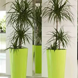 Euro3Plast Tuit Ø 40 x 75 cm anthrazit