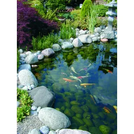 UBBINK FiltraClear 6000 PlusSet