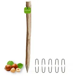 Floranica Zaunpfahl, 90 cm hoch, Ø 6-8 cm, Haselnussholz - braun