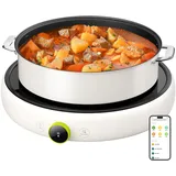 TOKIT Induktionskochplatte 2100W Tragbar – Runde Induktions-Einzelkochplatte/Standalone Kochfeld 1 Zone, 99 Stufen Drehregler OLED, 4h Timer, Topferkennung, für Küche Büro Camping Wohnmobil