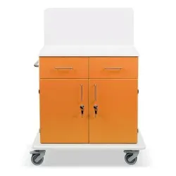 ETERNASOLID MULTICART Multifunktionswagen T21 mit Rückwand 92635-OR , Farbe: orange