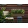 LECHUZA Balconera Color 80 Komplettset 80 x 19 x 19 cm muskat