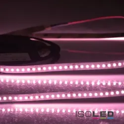 ISOLED CRI Food Flexband Meat Fleisch 24V 14,4W/m IP54 Nano beschichtet EEK E [A-G]