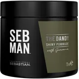 Sebastian Professional SEB MAN The Dandy Pomade stark 75 ml