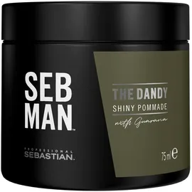 Sebastian Professional SEB MAN The Dandy Pomade stark 75 ml