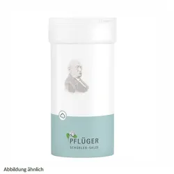 Biochemie Pflüger 8 Natrium chloratum D6 Tabletten 400 St.