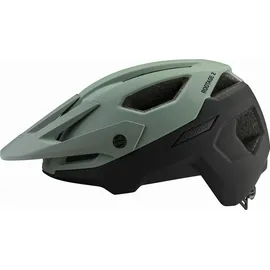 Alpina Rootage 2 52-56 cm willow/green black matt