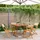 vidaXL Garten-Essgruppe 5-tlg. Beige