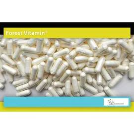 Forest Vitamin L-Glutamin unflavored Kapseln 100 Kapseln