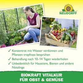NEUDORFF BioKraft Vitalkur für Obst und Gemüse 300 ml