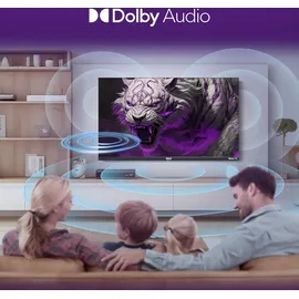 RCA RK32HN1 32" LED HD Roku TV