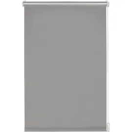 GARDINIA EASYFIX Rollo Thermo 100 x 210 cm grau