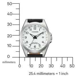 Citizen Leder 29 mm EC1180-14A
