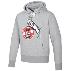 1. FC Köln Hoodie 2023 grau Herren Gr. L