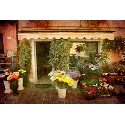 Fototapete PAPERMOON "Blumenladen", bunt, B:4,50m L:2,80m, Vlies, Tapeten