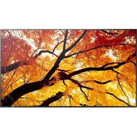 Sharp M862 Digital Signage Display 86"