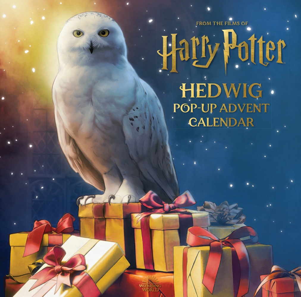 Reinhart Pop-Up Studio / Harry Potter: Hedwig Pop-Up Advent Calendar - Matthew Reinhart  Gebunden