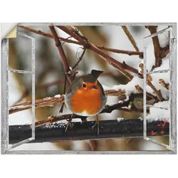 Artland Wandbild »Fensterbild - Rotkehlchen«, Vögel, (1 St.), als Poster, Wandaufkleber in verschied. Größen Artland Farbe Bild(er): rot