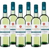 Oberrotweiler Müller-Thurgau Kabinett - Weißwein lieblich, fruchtig -6 x 0,75 ml