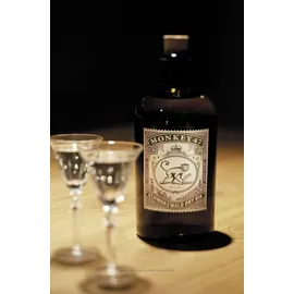 Monkey 47 Schwarzwald Dry 47% vol 0,5 l Geschenkbox