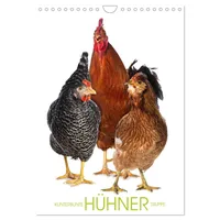 Calvendo Kunterbunte Hühner Truppe (Wandkalender 2026 DIN A4 hoch),