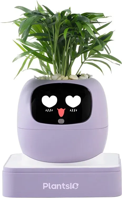 PLANTSIO+Ivy Gen 2 intelligenter Topf+Smart-Gerät+125 x 125 x 125 mm / 0,8 kg+1+Violett