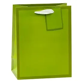 TSI Geschenktüten Mittel 18 x 23 cm 12 St. Blau/Rosa/Rot/Grün