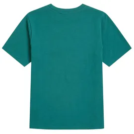 O'Neill Slub Graphic Kurzarm-T-Shirt Botanical Heat 7-8 Jahre