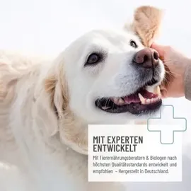 reavet Zink Tabletten für Hunde 120 Stück