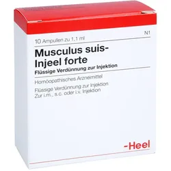 Musculus suis-Injeel forte