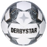 derbystar Brillant TT Trainingsfußball weiß/silber 5