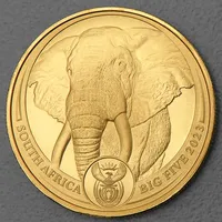 South African Mint Goldmünze 1oz Elefant 2024 Big Five II (Südafrika)