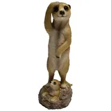 Dehner Polyresin-Erdmännchen Duo, ca. B11/H30/T11 cm, Hellbraun, braun