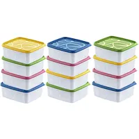 Annastore 12 x hochwertige Tiefkühldosen von -20°C bis + 100°C - Gefrierdosen - Luftdicht - Tiefkühlboxen - Gefrierboxen - Vorratsdosen (12 x 650 ml)